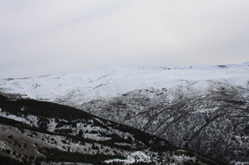 sierra nevada
